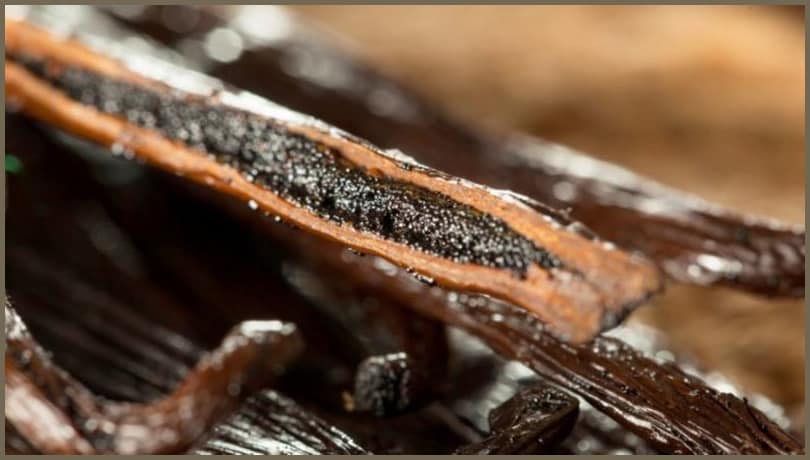 Natural Vanilla - Organic Vanilla Bean Pods