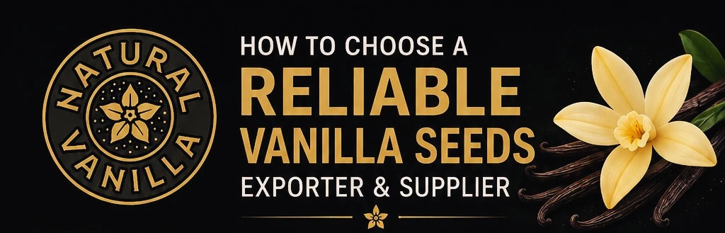 Choose a Reliable Vanilla Seeds Exporter 1